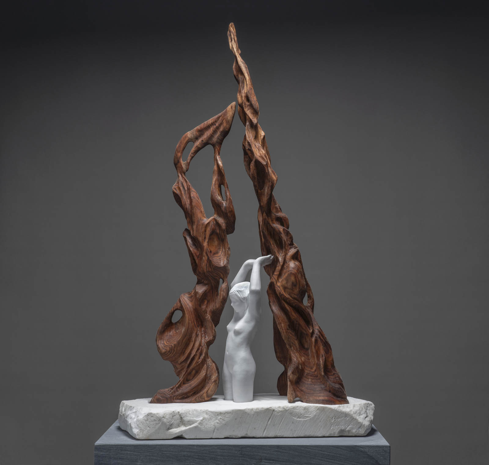 Io sono fiume - I am a river by Flavia Robalo and Violet Shum